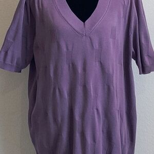 Women's Plus Purple V-Neck Short Sleeve Sweater
